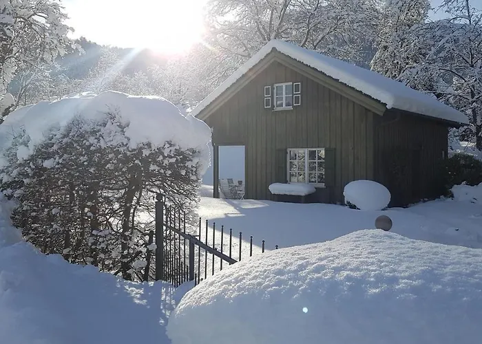 Ferienhaus Alp Chalet