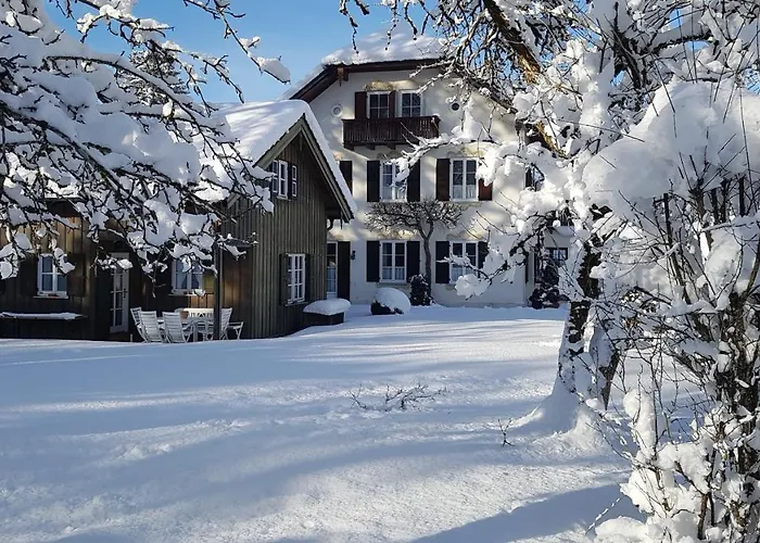 Ferienhaus Alp Chalet