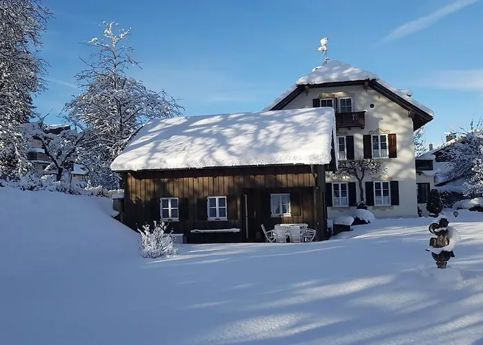 Ferienhaus Alp Chalet
