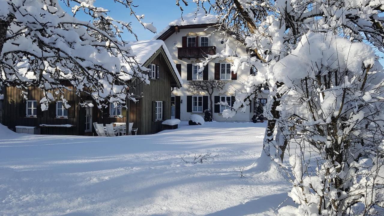 Alp Holiday home
